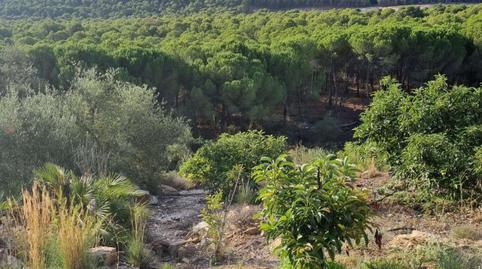 Foto 5 de Finca rústica en venda a Cambil, Jaén