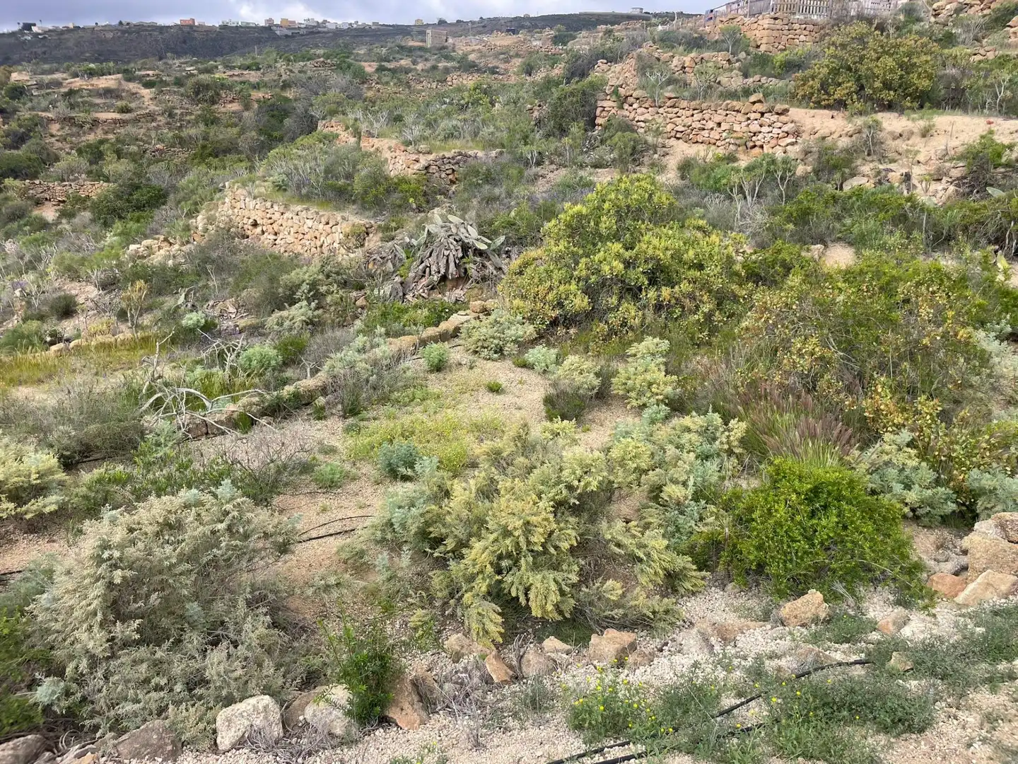Terreno rustico in vendita a Arico, imagen 3