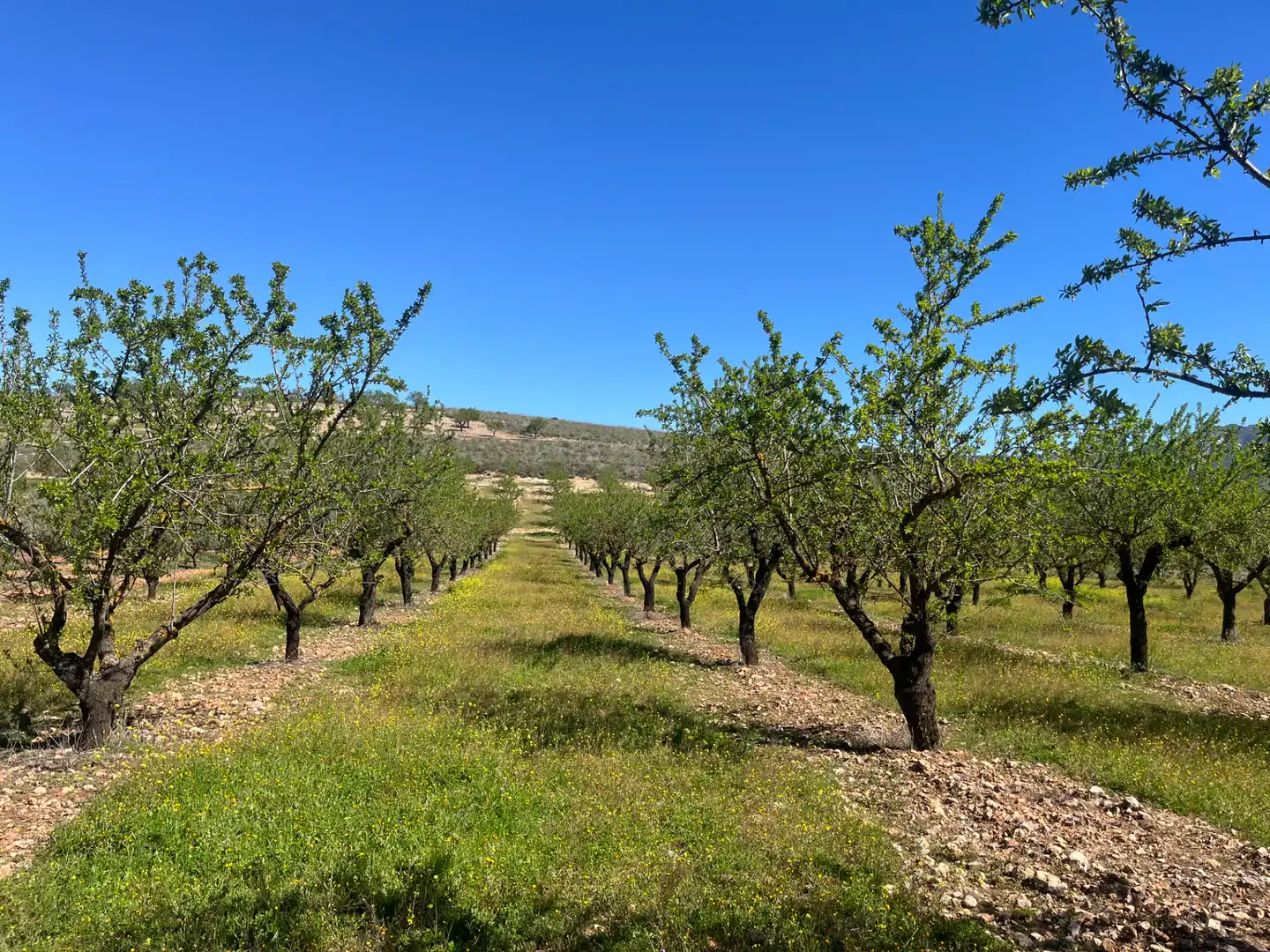 Rustikales Grundstück zum Verkauf in Camino de la Sierra, imagen 13