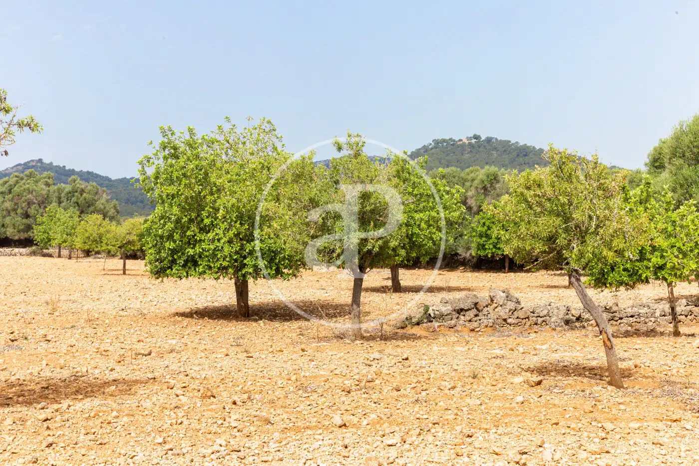 Residencial en venta en Manacor