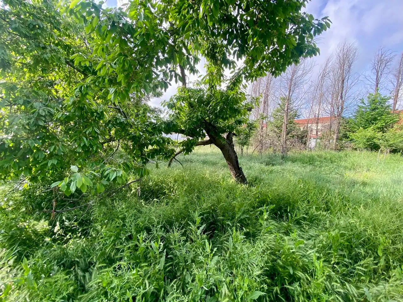 Casa o chalet en venta en Corral de Calatrava con Aire acondicionado, Calefacción y Jardín privado