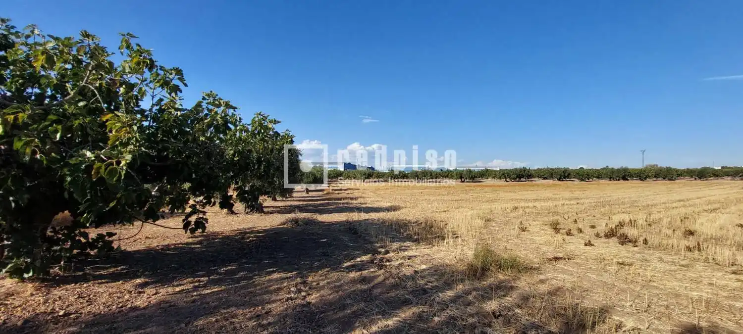 Terreny residencial en venda a Cebolla