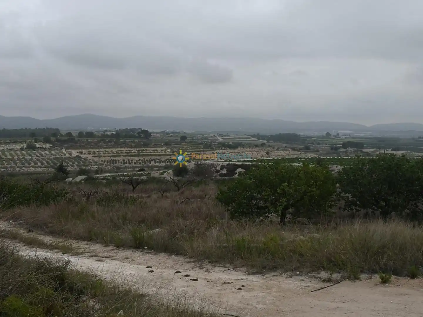 Terreny rústic en venda a Albaida, imagen 15