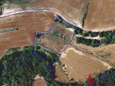 Terreni e lotti in vendita a MASET