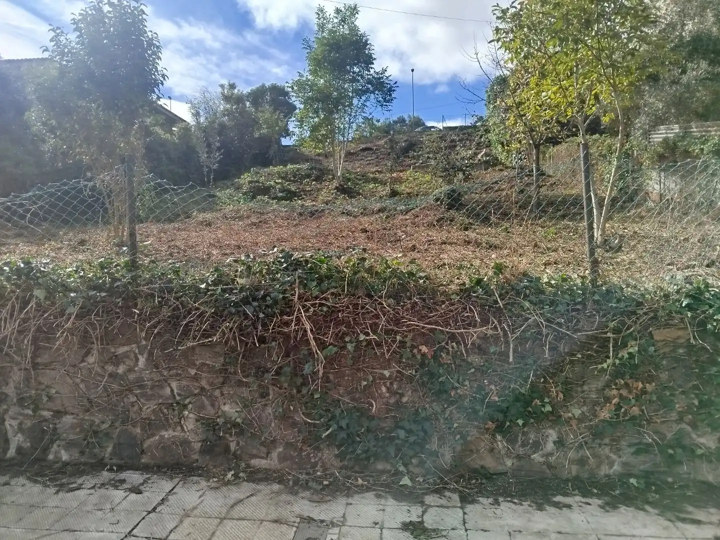 Terreno residenziale in vendita a Avinguda Can Font 11, imagen 2