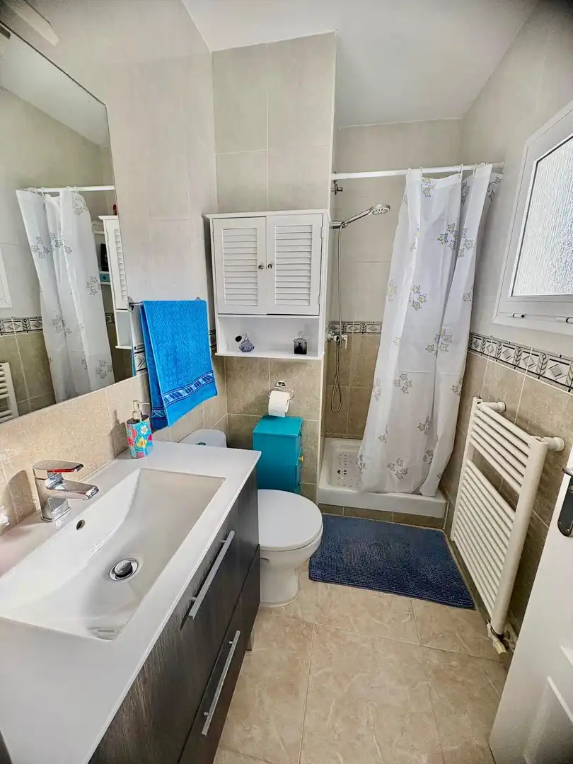 Casa pareada con terraza en venta en Avenida del Comte Gómez de Orbaneja, imagen 51
