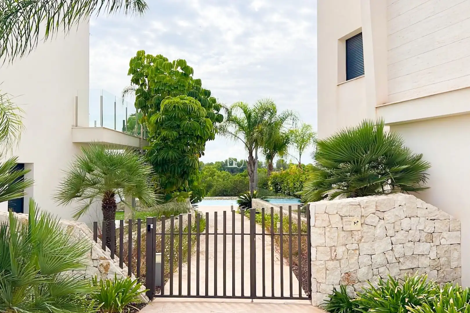 Bungalow con terrazza in affitto a El Pinar de Campoverde, imagen 3