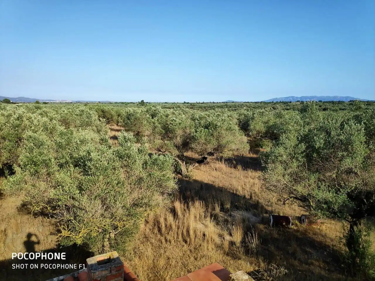 Rural land for sale in Roquetes, imagen 5