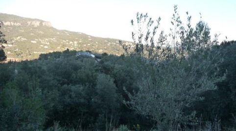 TERRENO EN VENTA Urbanización Pedritxes  Matadepera Bcn, immagine 2