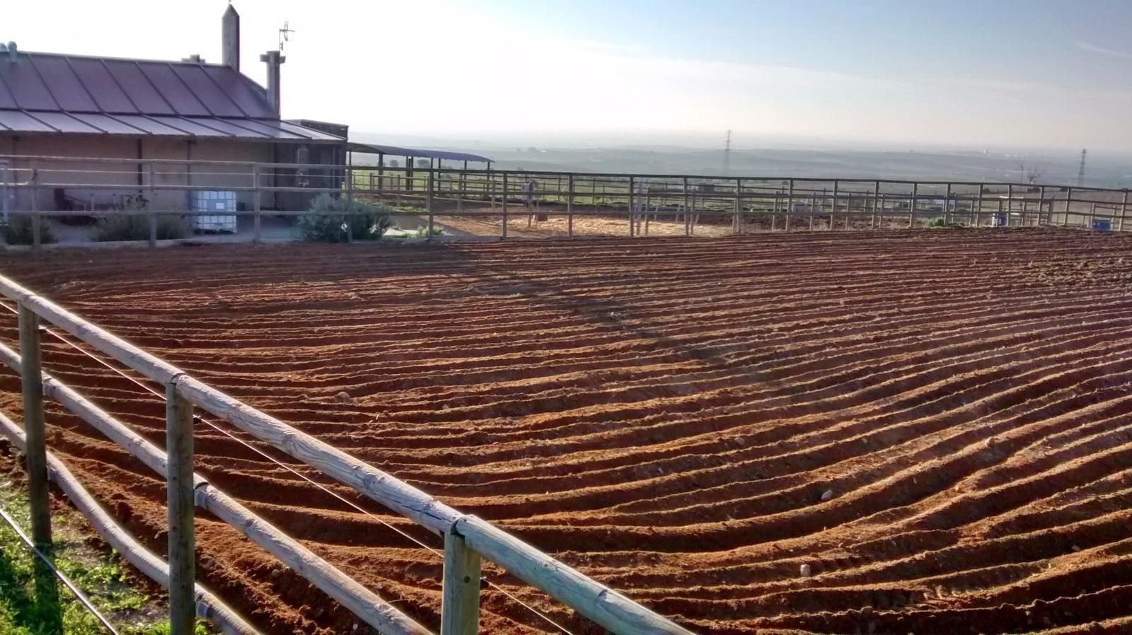 Country homes for sale in Polígono Industrial Estanquillo, Burguillos