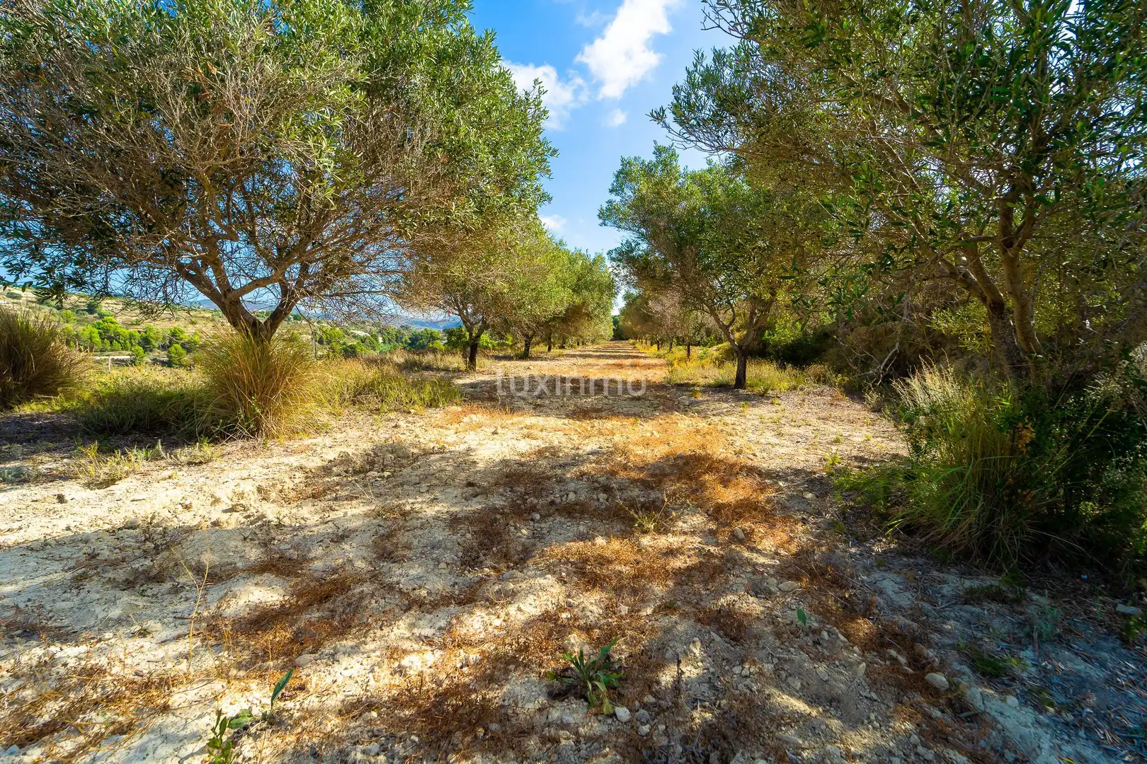 Terrenys i solars en venda a Benissa pueblo, imagen 4