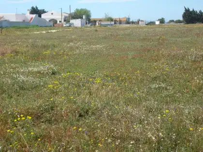 Terreni e lotti in vendita a Vejer, imagen 9