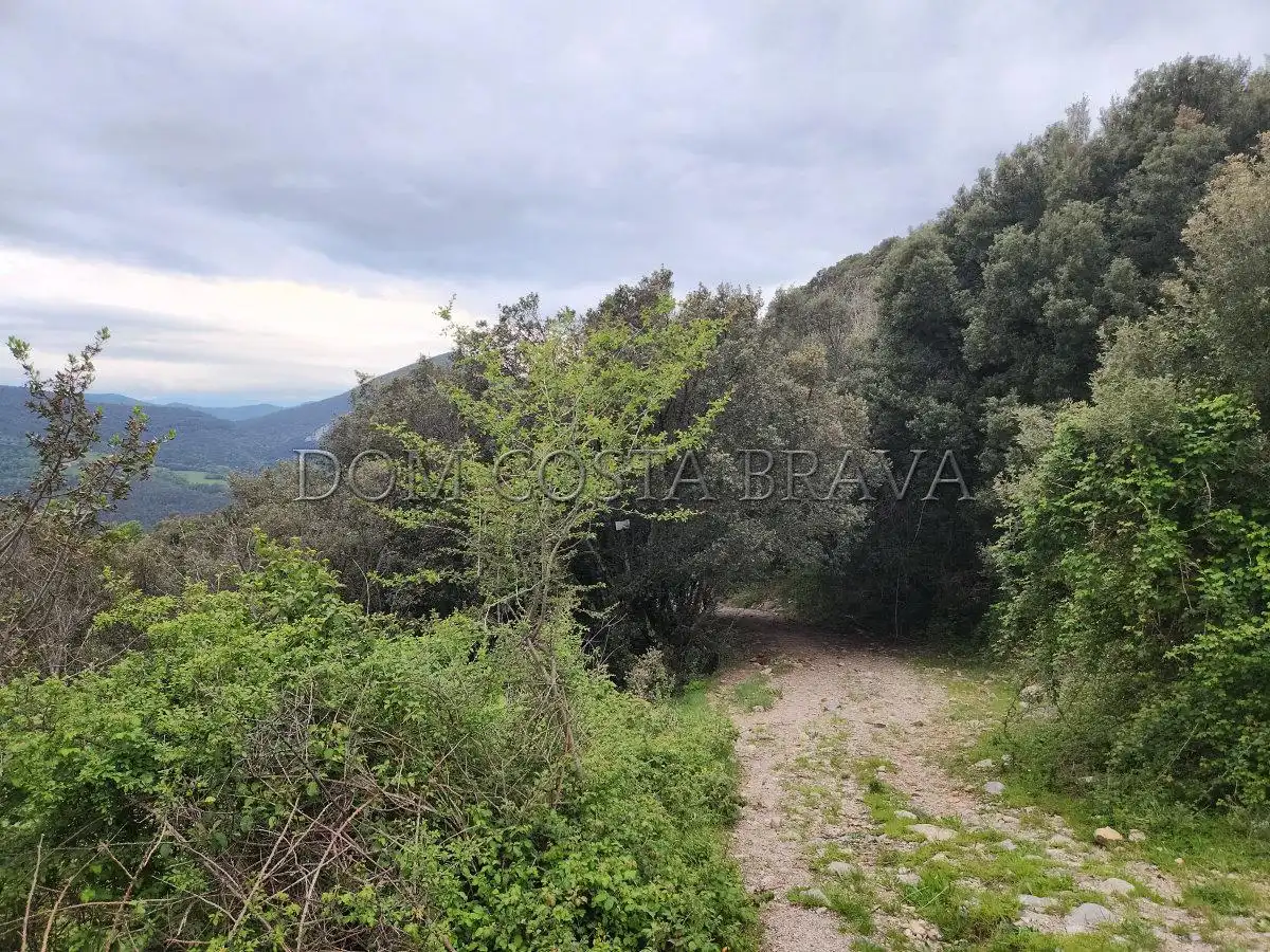 Land for sale in Carrer Major, Montagut i Oix