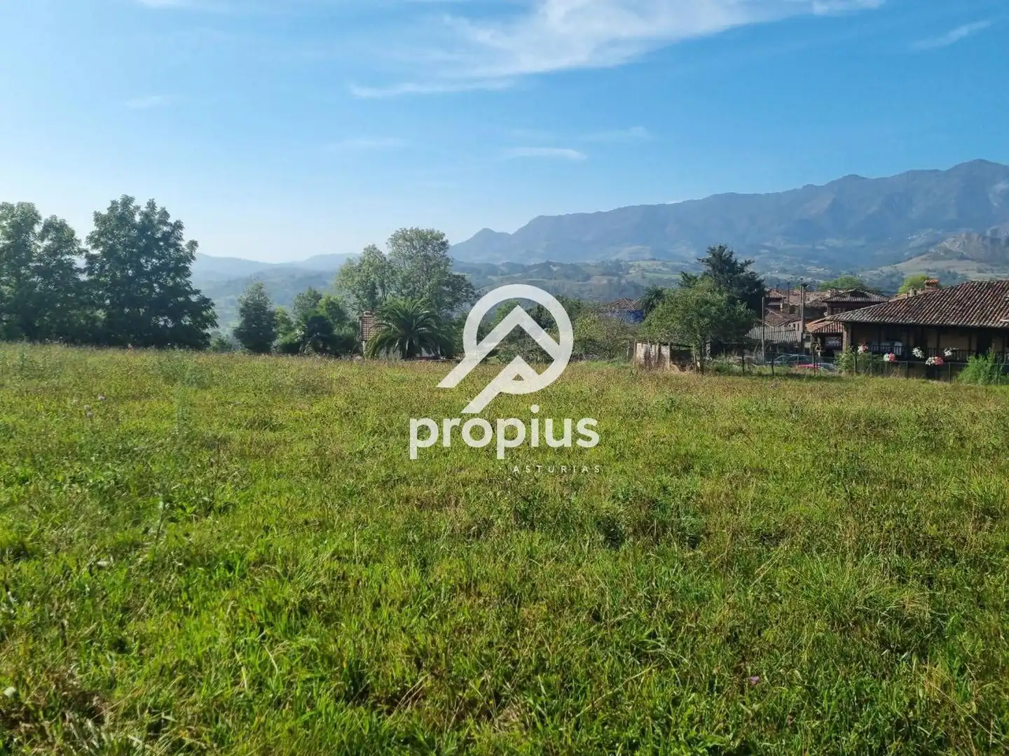 Rural land for sale in Arenas, imagen 20