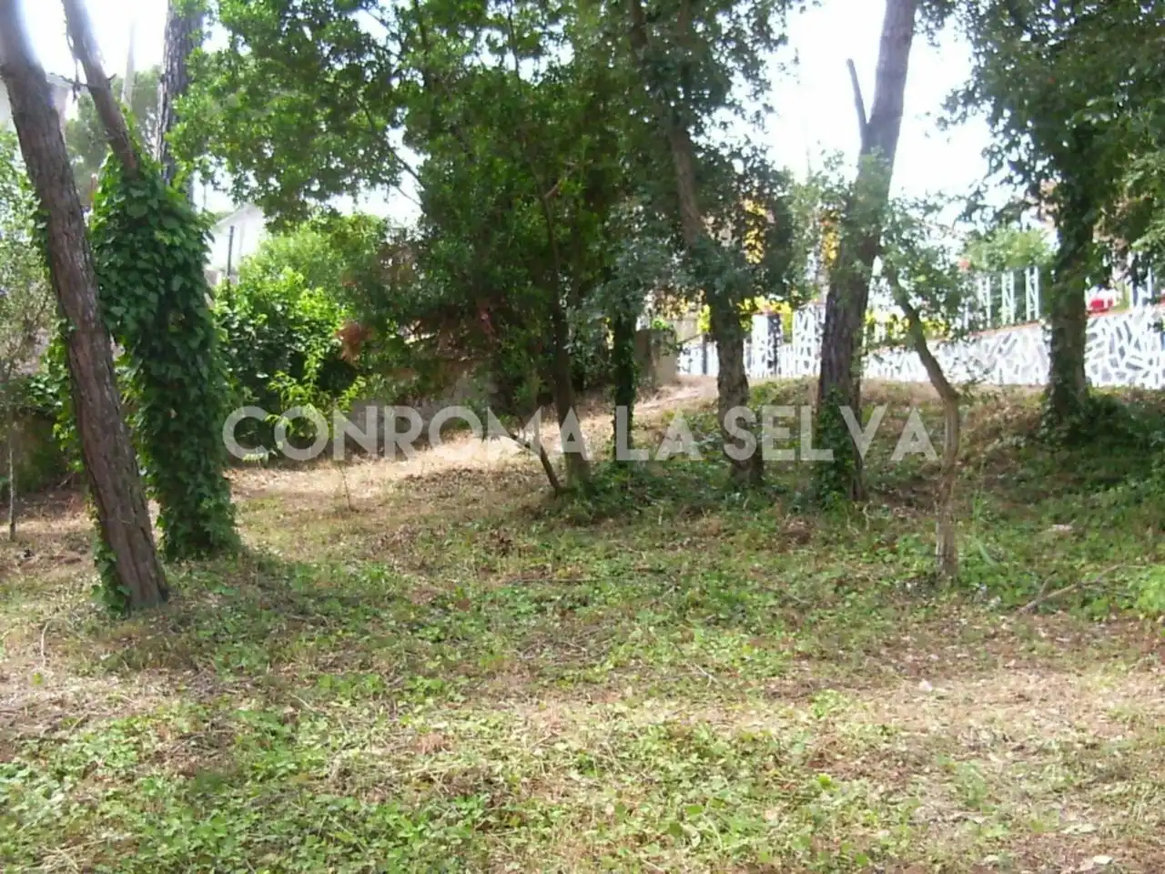 Residential land for sale in Residencial Park, imagen 4