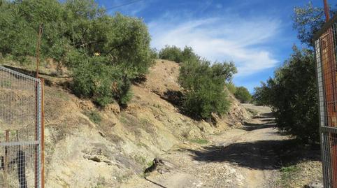 Photo 3 of Land for sale in Loma del Batan, El Pópulo - Santa María, Cádiz