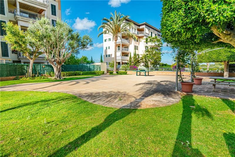Flat to rent in Sa Teulera
