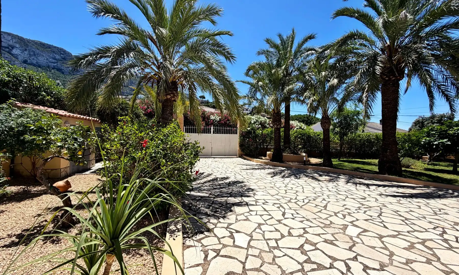 Vista exterior de Casa o chalet en venta en Dénia con Aire acondicionado, Calefacción y Jardín privado