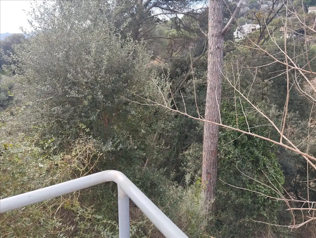 Terreno residenziale in vendita a Can Massuet, 15, imagen 4