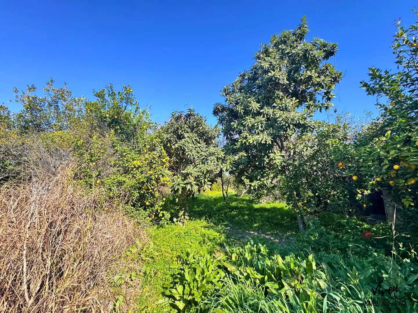 Villa à vendre à Pedanías Este, imagen 16