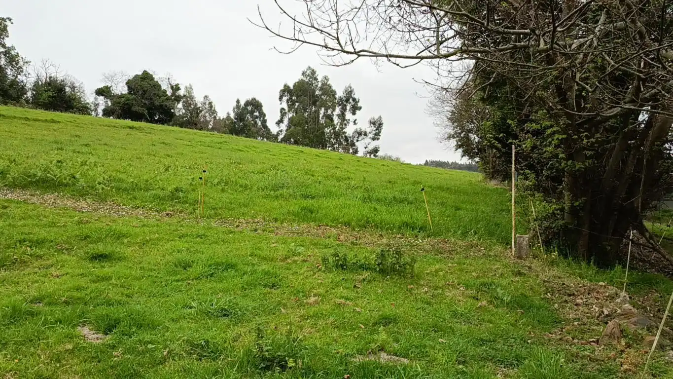 Lands and plots for sale in Lugar Laguna, imagen 8