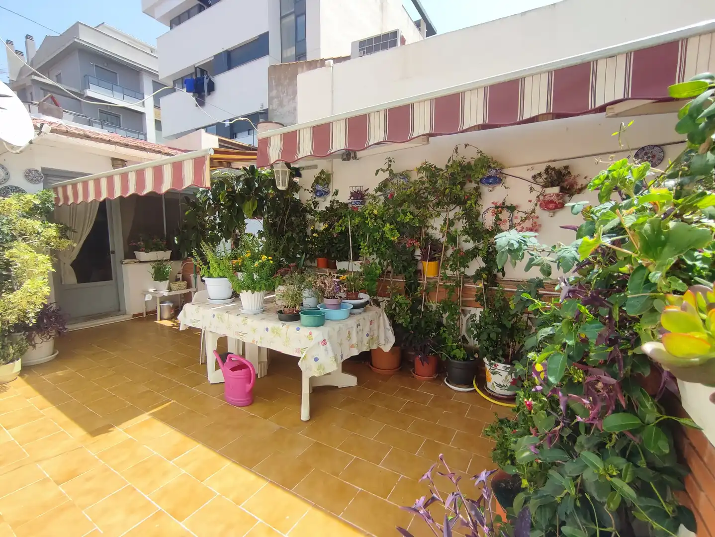Terrassa de Casa o xalet en venda en Petrer amb Jardí privat, Terrassa i Traster
