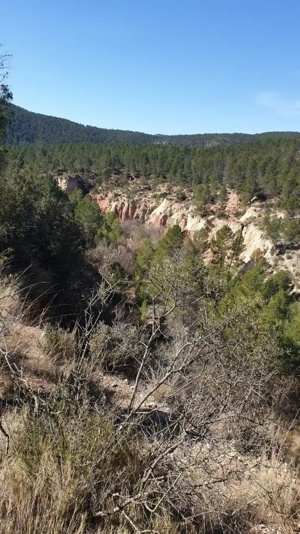 Terrain résidentiel à vendre à Requena, imagen 21