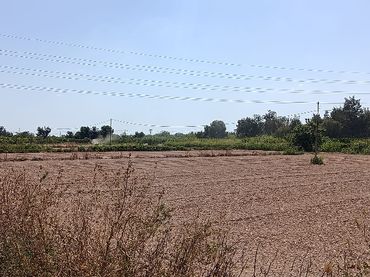 Rustikales Grundstück zum Verkauf in Benejúzar
