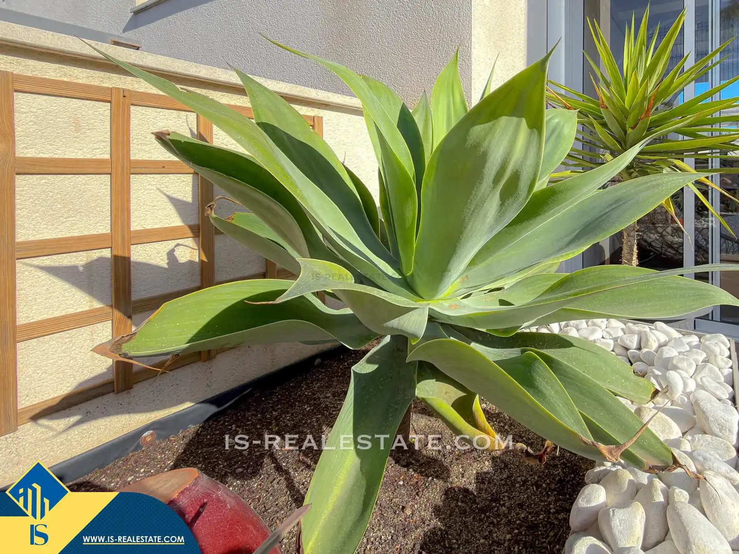 Bungalow mit Pool zum Verkauf in San Miguel de Salinas, imagen 74