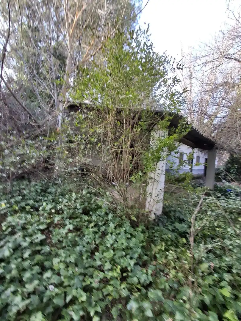 Exterior view of Houses for rent in Pezuela de las Torres