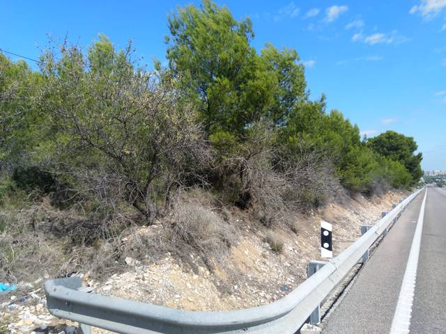 Terreno residencial en Venta en Proc. Simplificado en El Balcó - Jaume I