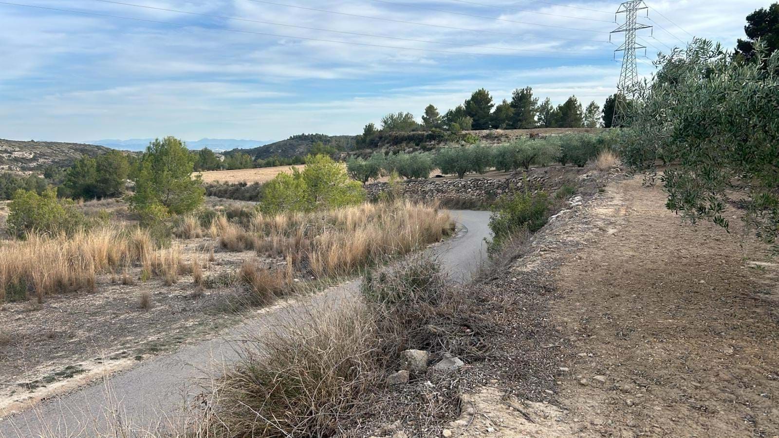 Finca rústica en venta en Montserrat