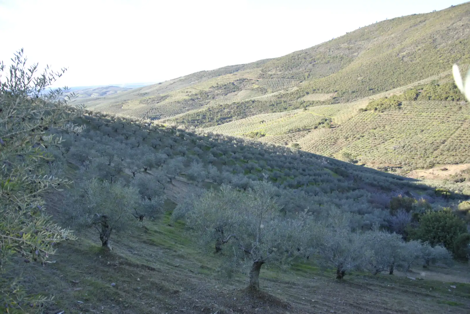 Terreno en venta en La Pesga 