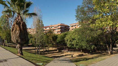 Foto 3 de Piso en venta en Montflorit, Cerdanyola del Vallès