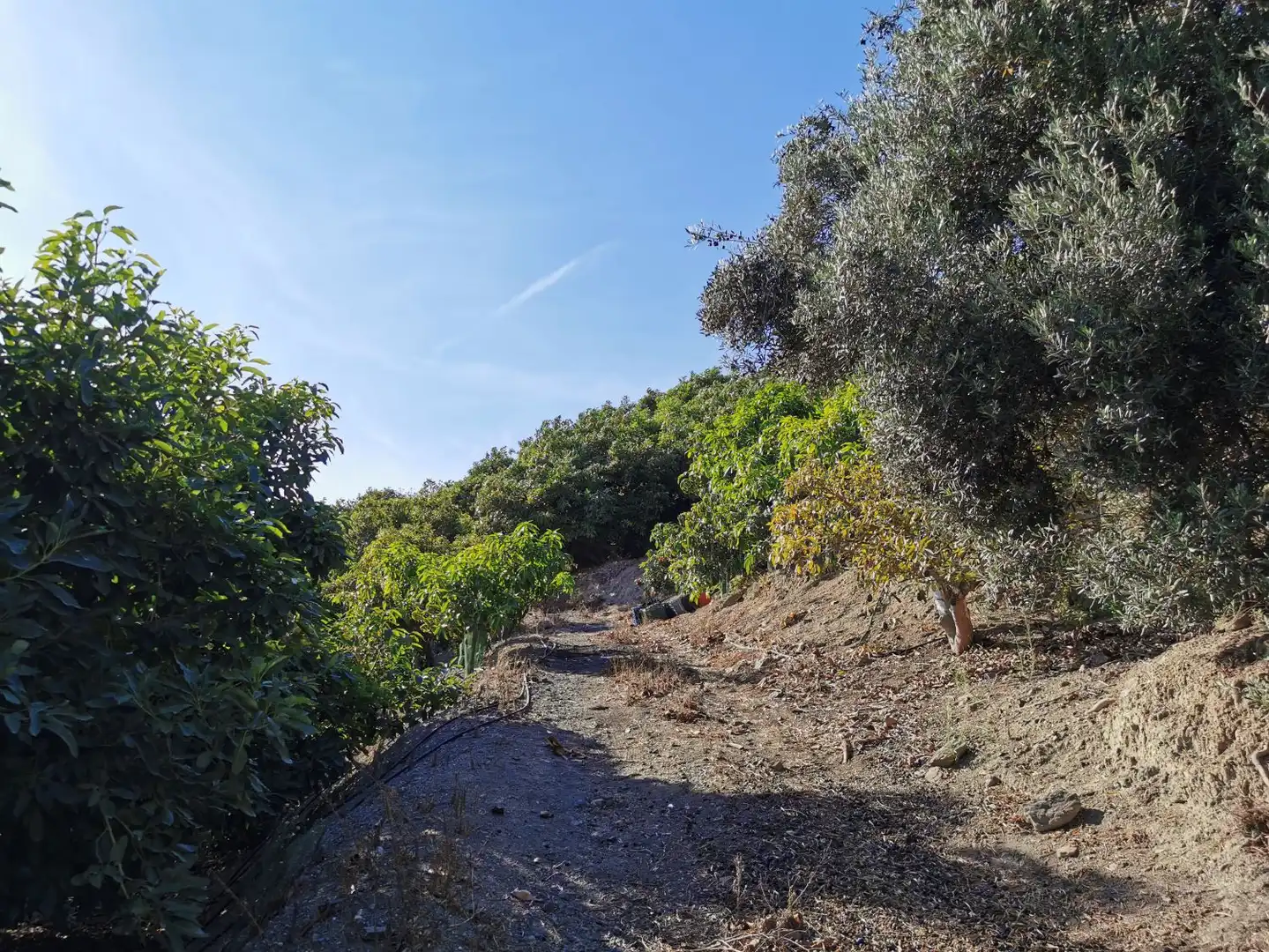 Casa rústica en venda a Motril  ciudad, imagen 9