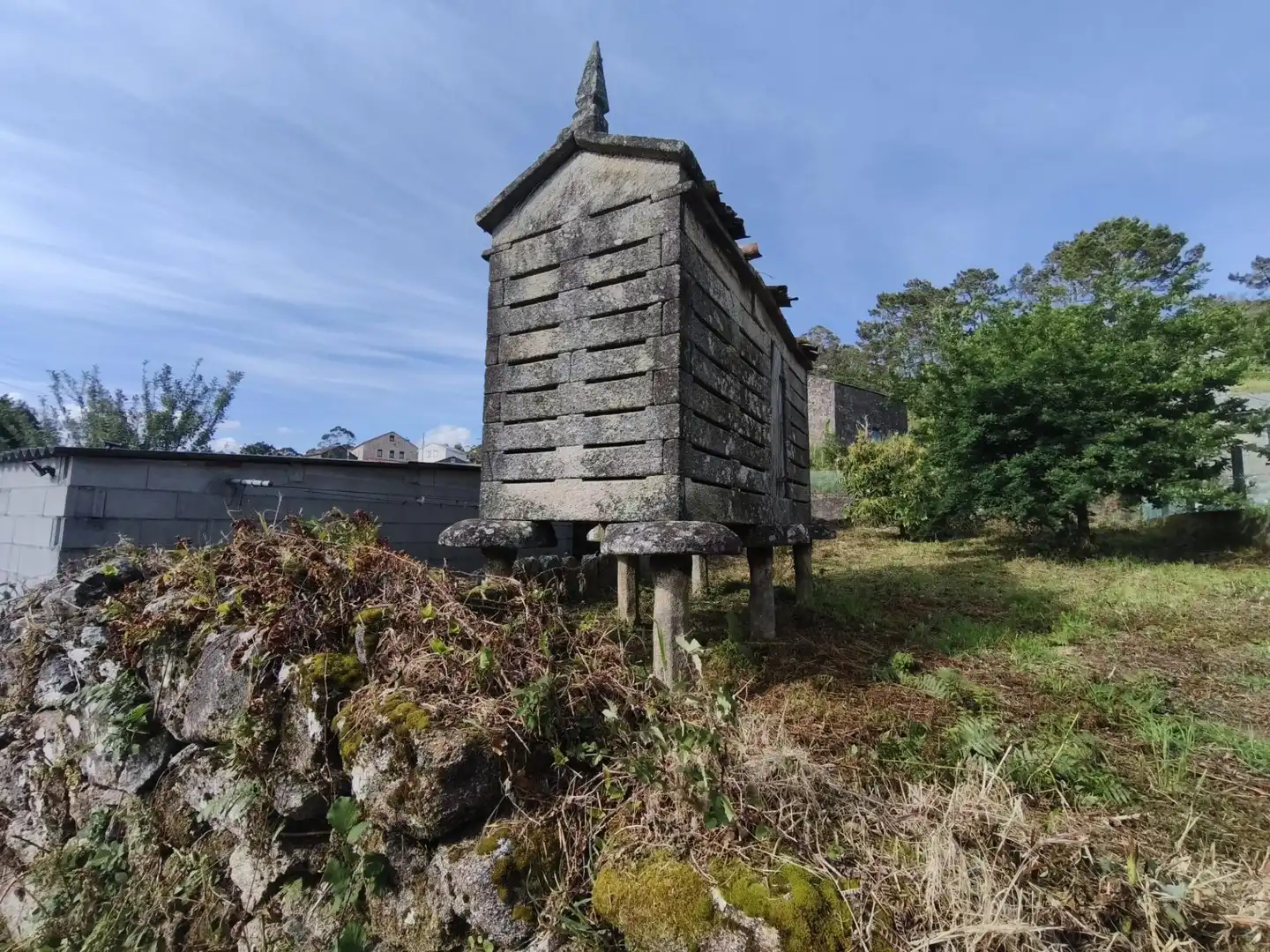 Vista exterior de Finca rústica en venta en Muros