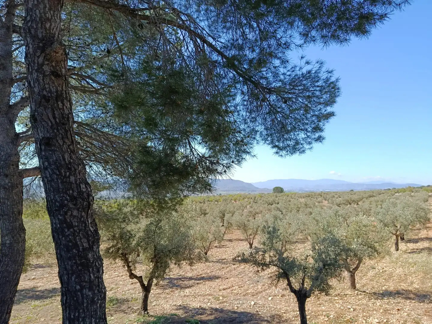 Houses for sale in Cañada  with Private garden and Furnished