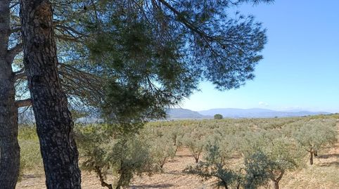 Foto 2 de Casa o chalet en venta en Cañada, Alicante