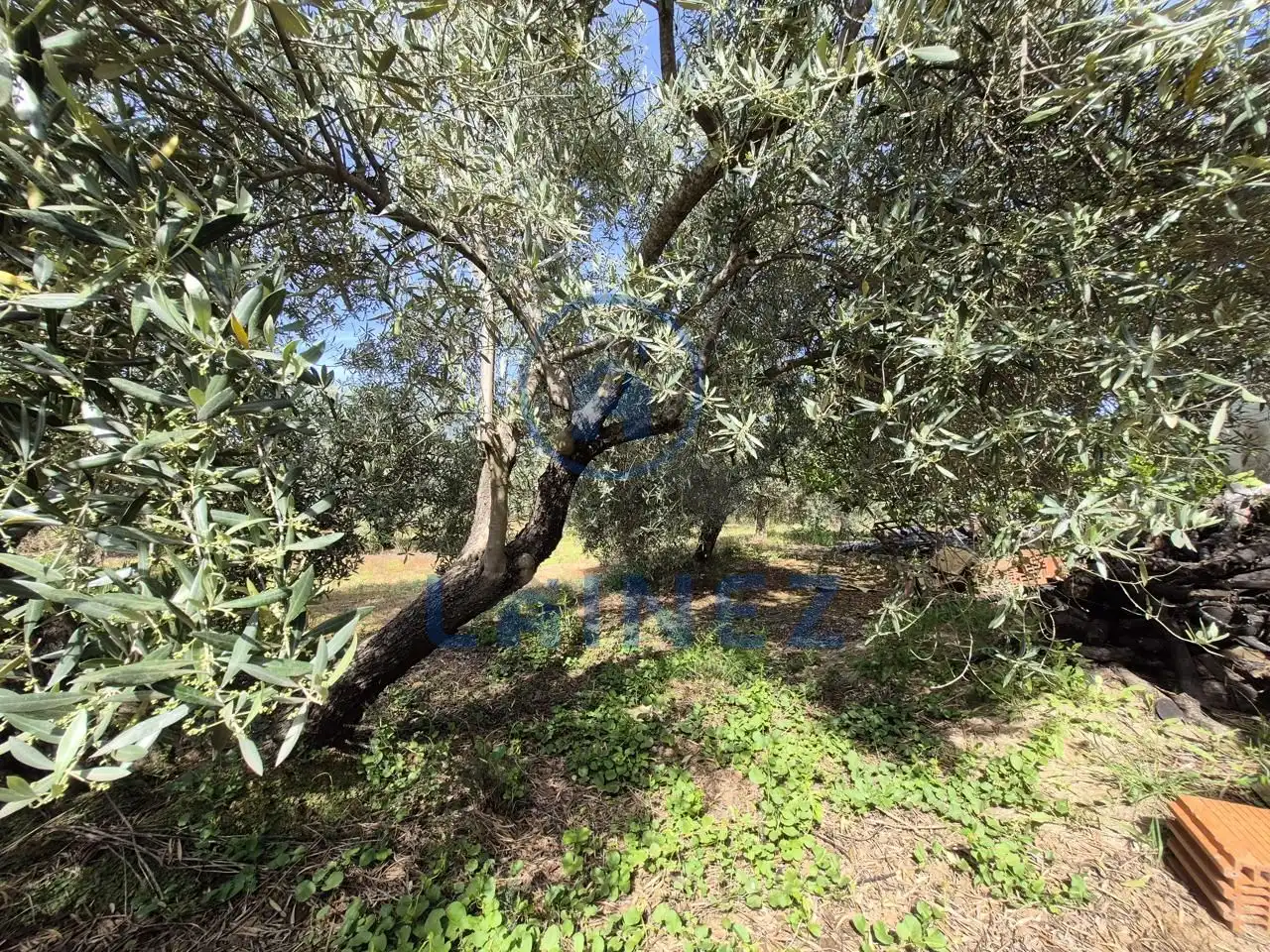 Casa o chalet en venta en Belmez con Aire acondicionado, Calefacción y Jardín privado