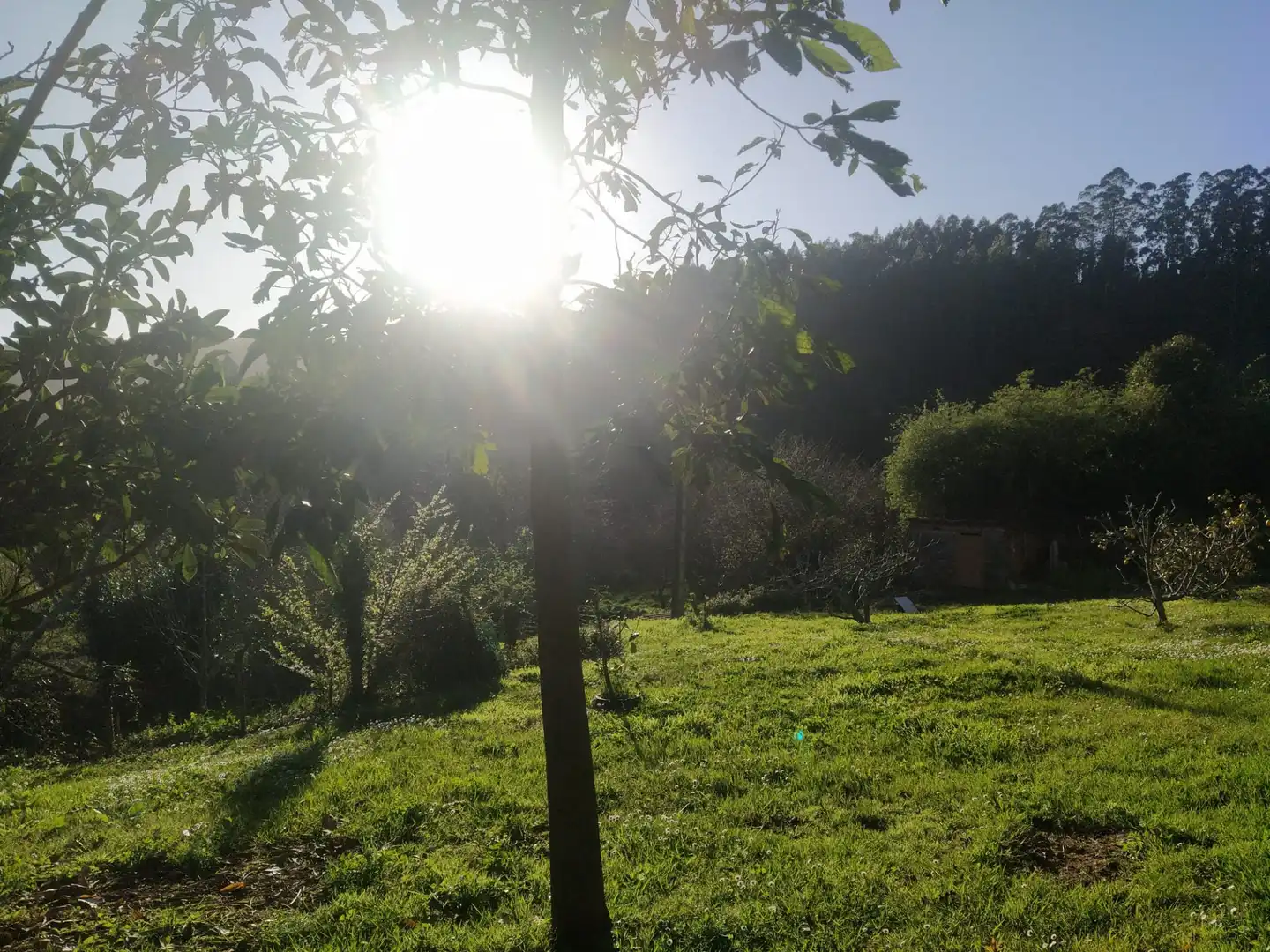 Garden of Houses for sale in Cariño  with Private garden, Parquet flooring and Terrace