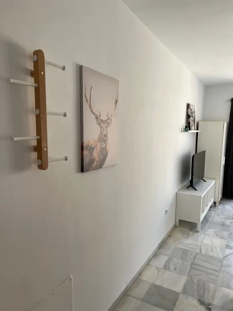Sala d'estar de Estudi de lloguer en Málaga amb Aire condicionat, Calefacció i Moblat