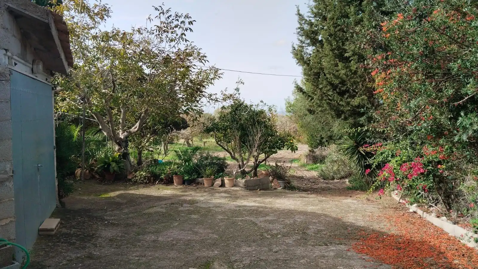 Jardín de Casa o chalet en venta en Felanitx