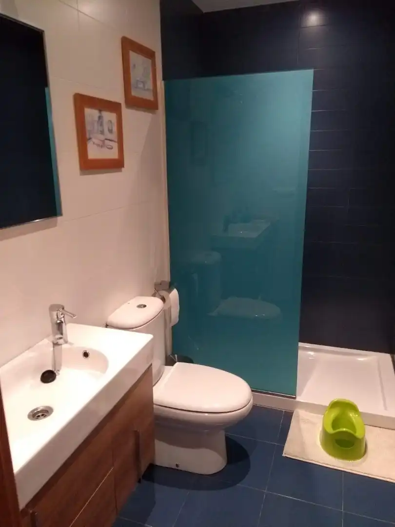 Bathroom of Detached homes for sale in Lerma  with Heating, Private garden and Terrace