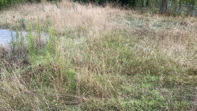 Terreno residencial en Venta en Sant Vicenç de Torelló