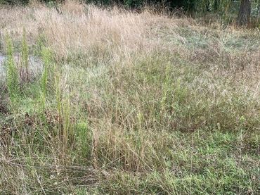 Terrenys i solars en venda a Sant Vicenç de Torelló