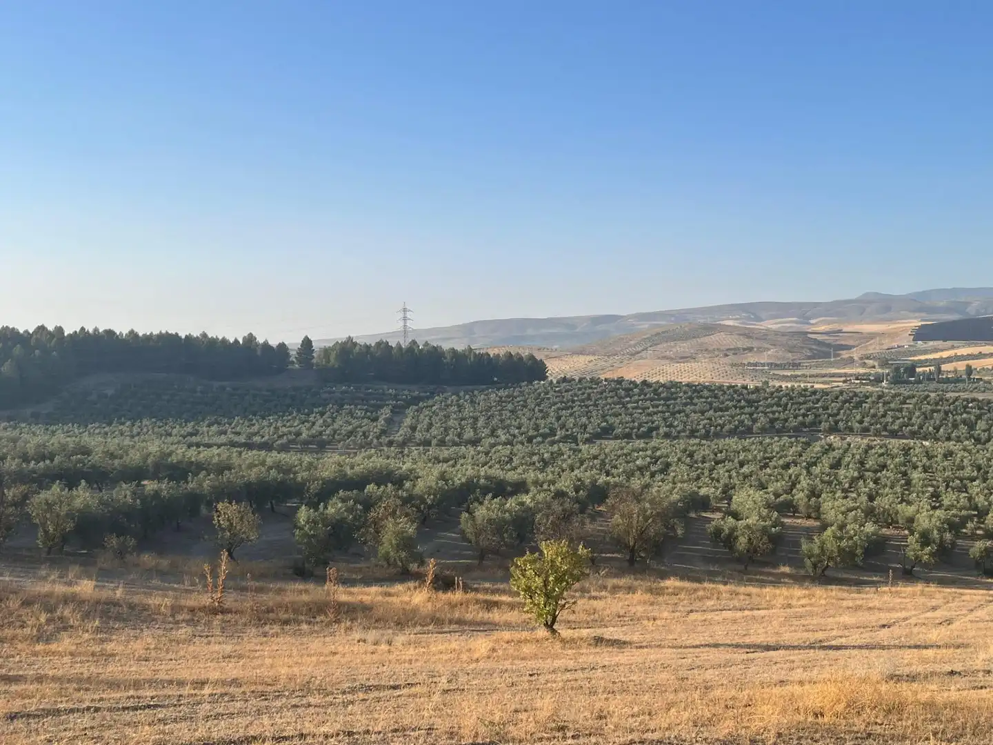 Finca rústica en venta en La Malahá