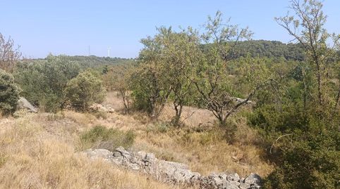 Terreno 7 Hectareas BATEA, immagine 4