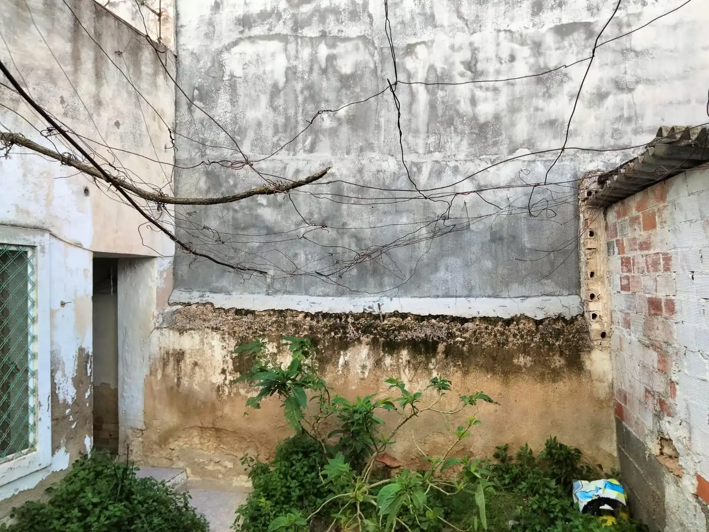Vista exterior de Casa o chalet en venta en Bullas