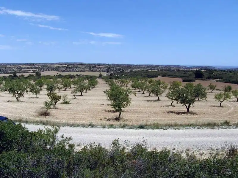 Finca rústica en venta en Alcañiz