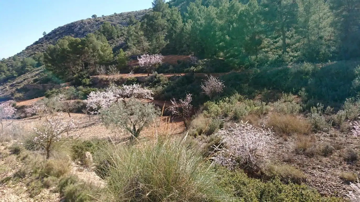 Residential for sale in Totana